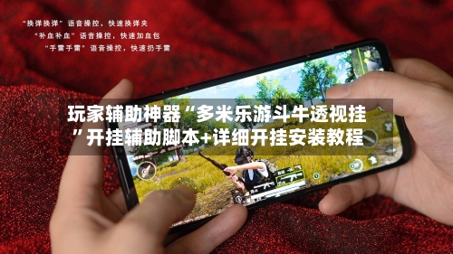 玩家辅助神器“多米乐游斗牛透视挂”开挂辅助脚本+详细开挂安装教程-第2张图片