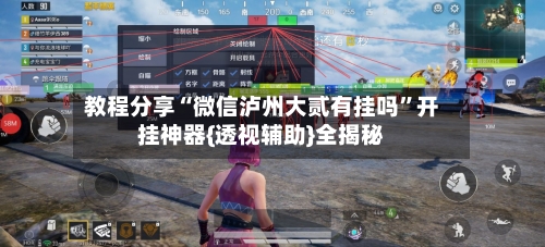 教程分享“微信泸州大贰有挂吗	”开挂神器{透视辅助}全揭秘-第3张图片