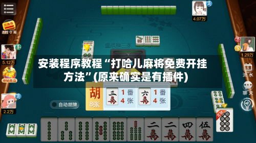 安装程序教程“打哈儿麻将免费开挂方法	”(原来确实是有插件)-第2张图片