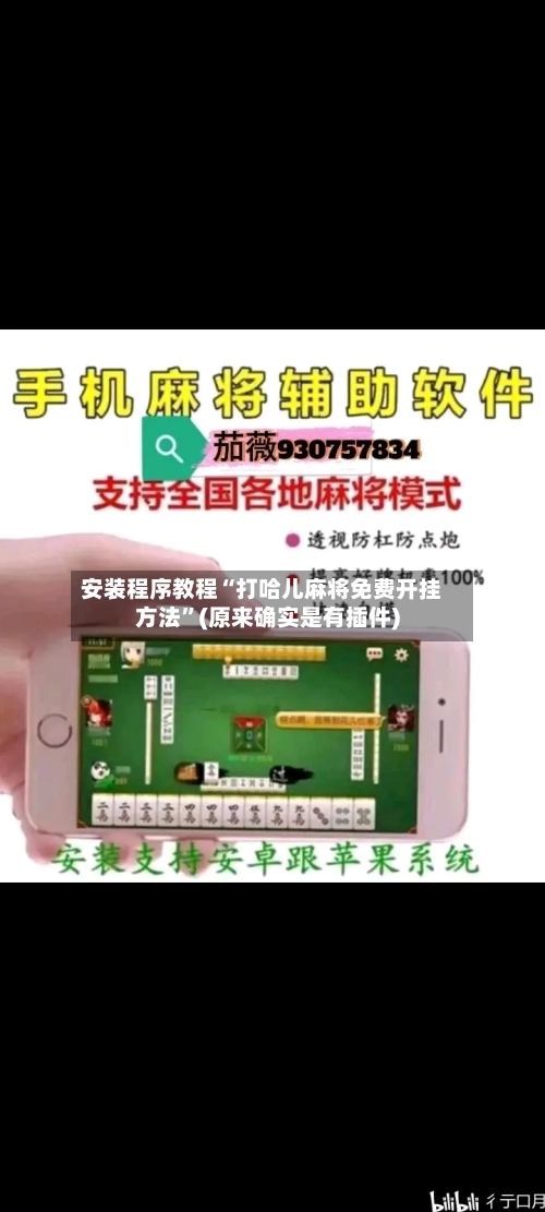 安装程序教程“打哈儿麻将免费开挂方法”(原来确实是有插件)-第1张图片