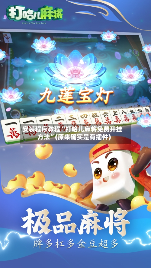 安装程序教程“打哈儿麻将免费开挂方法”(原来确实是有插件)-第3张图片