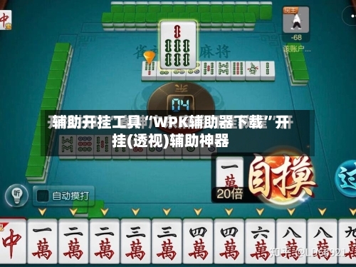 辅助开挂工具“WPK辅助器下载”开挂(透视)辅助神器-第3张图片