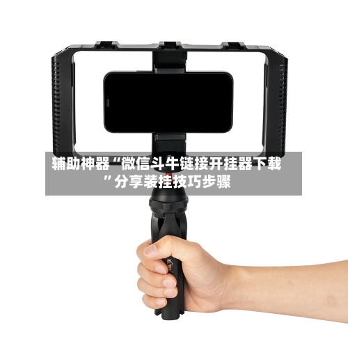 辅助神器“微信斗牛链接开挂器下载”分享装挂技巧步骤-第3张图片