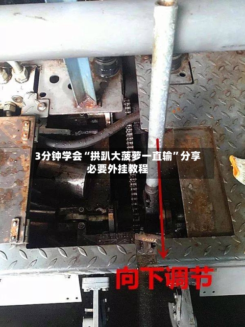 3分钟学会“拱趴大菠萝一直输	”分享必要外挂教程-第1张图片