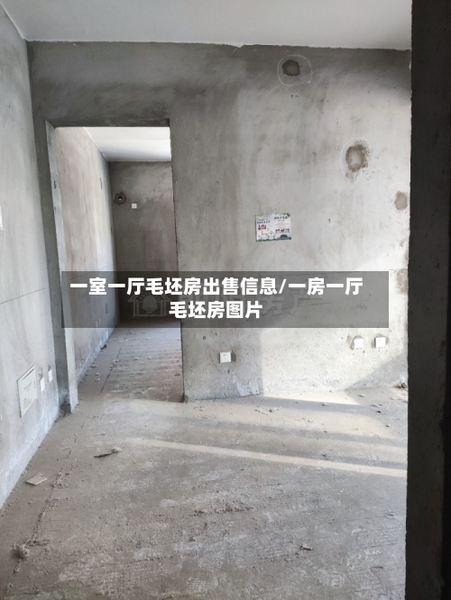 一室一厅毛坯房出售信息/一房一厅毛坯房图片-第2张图片