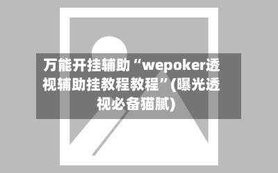 万能开挂辅助“wepoker透视辅助挂教程教程”(曝光透视必备猫腻)-第1张图片