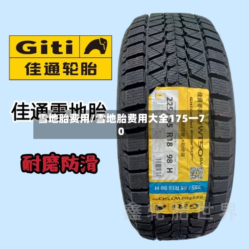 雪地胎费用/雪地胎费用大全175一70-第2张图片