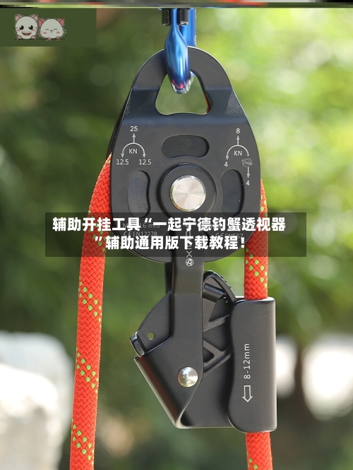 辅助开挂工具“一起宁德钓蟹透视器”辅助通用版下载教程！-第3张图片