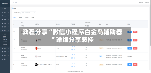 教程分享“微信小程序白金岛辅助器”详细分享装挂-第1张图片