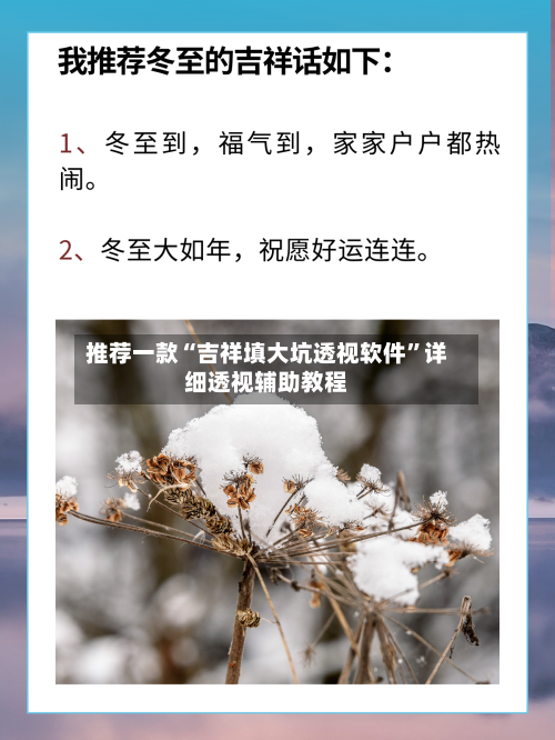 推荐一款“吉祥填大坑透视软件”详细透视辅助教程-第1张图片