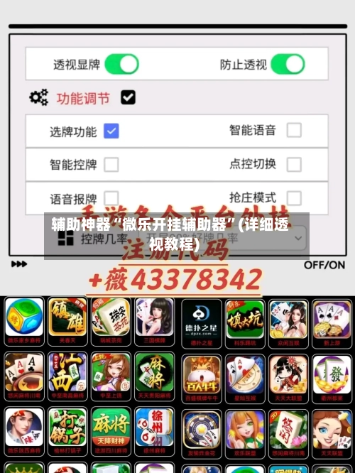 辅助神器“微乐开挂辅助器	”(详细透视教程)-第2张图片