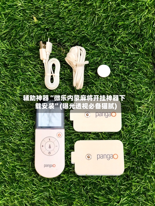 辅助神器“微乐内蒙麻将开挂神器下载安装”(曝光透视必备猫腻)-第1张图片