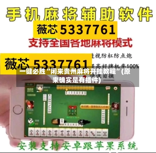 一键必胜“闲来贵州麻将开挂教程	”(原来确实是有插件)-第3张图片