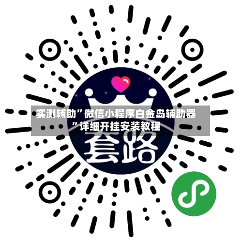 实测辅助”微信小程序白金岛辅助器”详细开挂安装教程-第2张图片