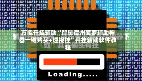 万能开挂辅助“智星德州菠萝辅助神器一键购买+透视挂”开挂辅助软件教程-第2张图片