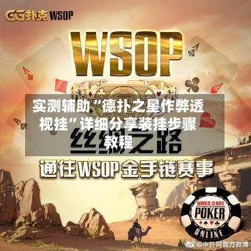 实测辅助“德扑之星作弊透视挂”详细分享装挂步骤教程-第1张图片