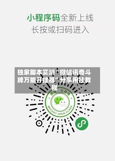 独家脚本实测“微信讯奇斗牌万能开挂器”分享用挂教程-第2张图片