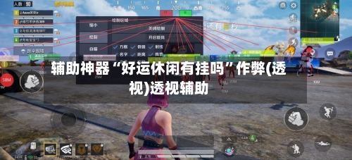 辅助神器“好运休闲有挂吗”作弊(透视)透视辅助-第3张图片