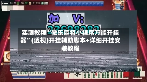 实测教程“微乐麻将小程序万能开挂器”(透视)开挂辅助脚本+详细开挂安装教程-第1张图片