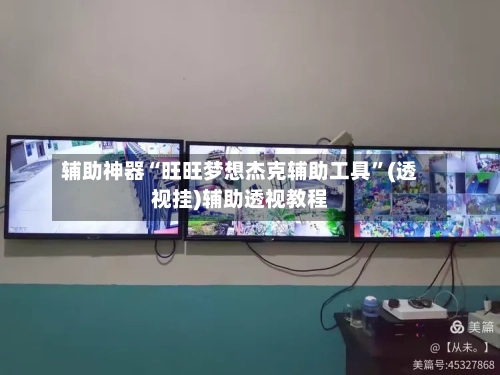 辅助神器“旺旺梦想杰克辅助工具”(透视挂)辅助透视教程-第2张图片