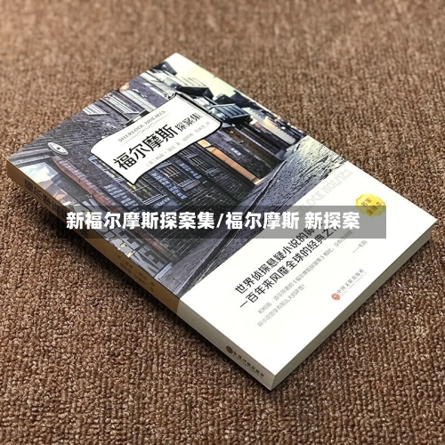 新福尔摩斯探案集/福尔摩斯 新探案-第3张图片