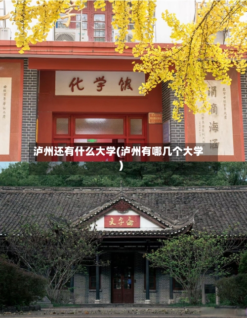 泸州还有什么大学(泸州有哪几个大学)-第2张图片