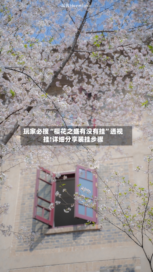 玩家必搜“樱花之盛有没有挂	”透视挂!详细分享装挂步骤-第3张图片