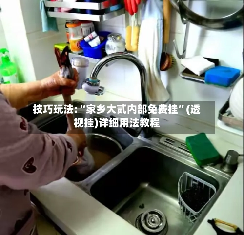 技巧玩法:“家乡大贰内部免费挂”(透视挂)详细用法教程-第2张图片