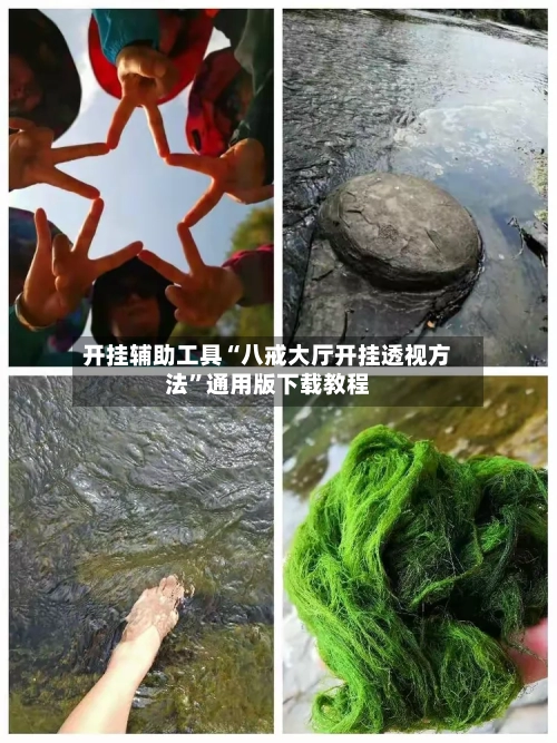 开挂辅助工具“八戒大厅开挂透视方法”通用版下载教程-第3张图片