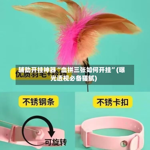 辅助开挂神器“血拼三张如何开挂”(曝光透视必备猫腻)-第3张图片