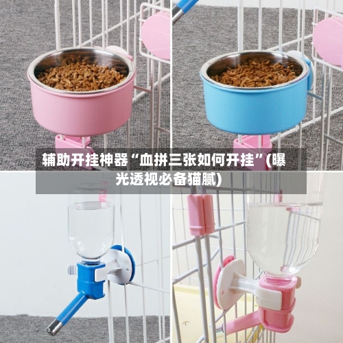 辅助开挂神器“血拼三张如何开挂	”(曝光透视必备猫腻)-第1张图片