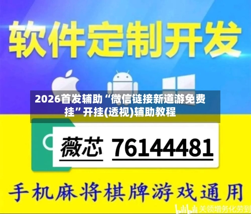2026首发辅助“微信链接新道游免费挂”开挂(透视)辅助教程-第2张图片