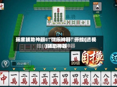 玩家辅助神器:“微乐神器”开挂(透视)辅助神器-第2张图片