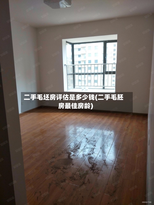 二手毛坯房评估是多少钱(二手毛胚房最佳房龄)-第3张图片