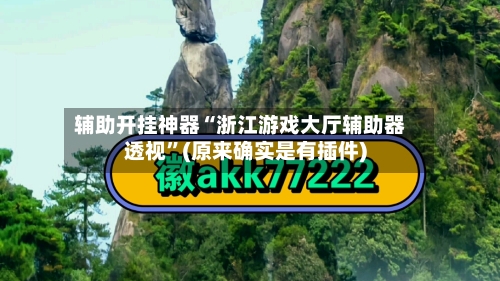 辅助开挂神器“浙江游戏大厅辅助器透视”(原来确实是有插件)-第2张图片