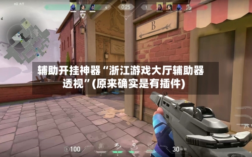 辅助开挂神器“浙江游戏大厅辅助器透视”(原来确实是有插件)-第3张图片