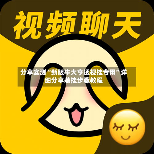 分享实测“新版牛大亨透视挂专用”详细分享装挂步骤教程-第1张图片