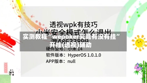 实测教程“wepoker究竟有没有挂”开挂(透视)辅助-第1张图片