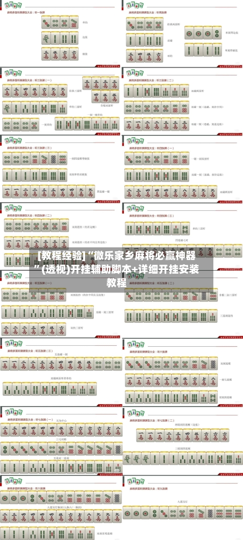 [教程经验]“微乐家乡麻将必赢神器”(透视)开挂辅助脚本+详细开挂安装教程-第3张图片