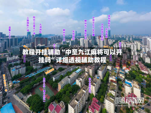 教程开挂辅助“中至九江麻将可以开挂吗	”详细透视辅助教程-第2张图片