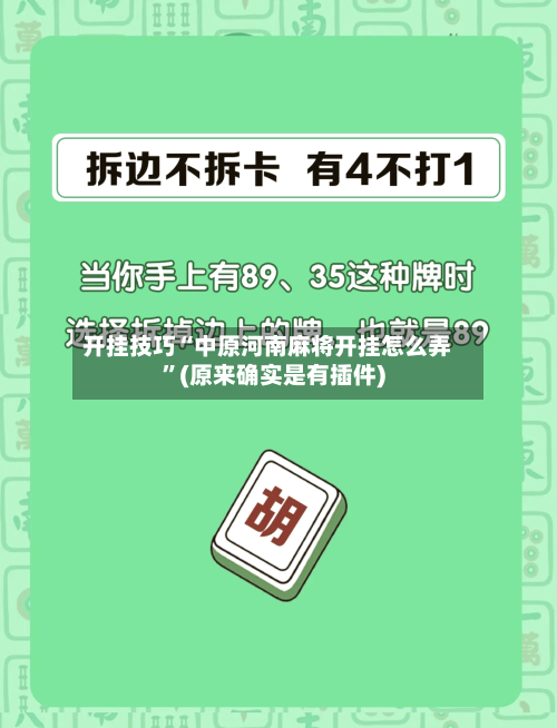 开挂技巧“中原河南麻将开挂怎么弄”(原来确实是有插件)-第3张图片