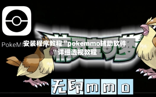 安装程序教程“pokemmo辅助软件	”详细透视教程-第1张图片