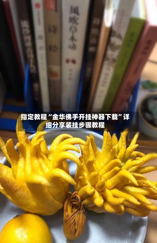 指定教程“金华佛手开挂神器下载”详细分享装挂步骤教程-第1张图片