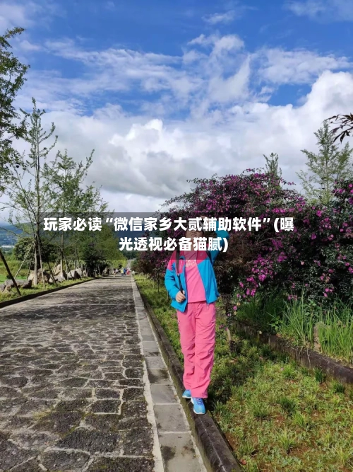 玩家必读“微信家乡大贰辅助软件”(曝光透视必备猫腻)-第1张图片