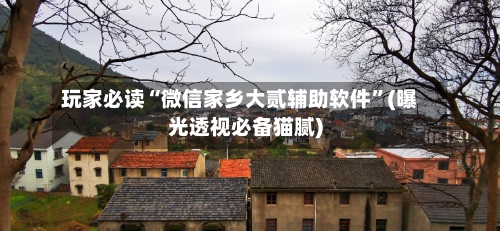 玩家必读“微信家乡大贰辅助软件”(曝光透视必备猫腻)-第2张图片