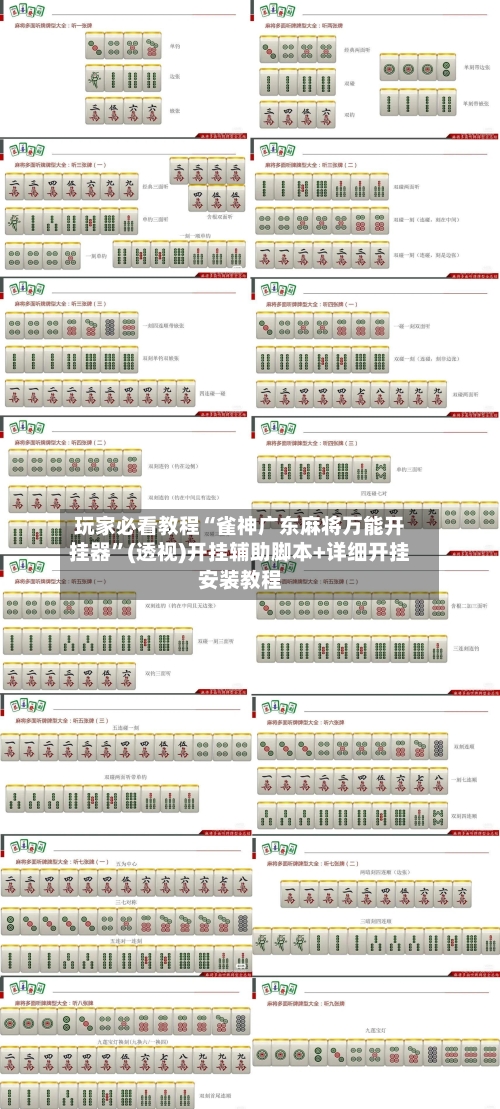 玩家必看教程“雀神广东麻将万能开挂器”(透视)开挂辅助脚本+详细开挂安装教程-第3张图片