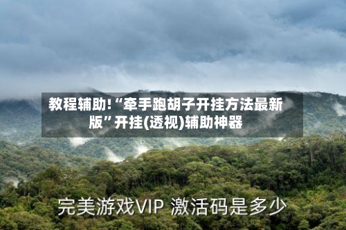 教程辅助!“牵手跑胡子开挂方法最新版”开挂(透视)辅助神器-第1张图片