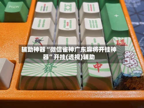 辅助神器“微信雀神广东麻将开挂神器”开挂(透视)辅助-第2张图片