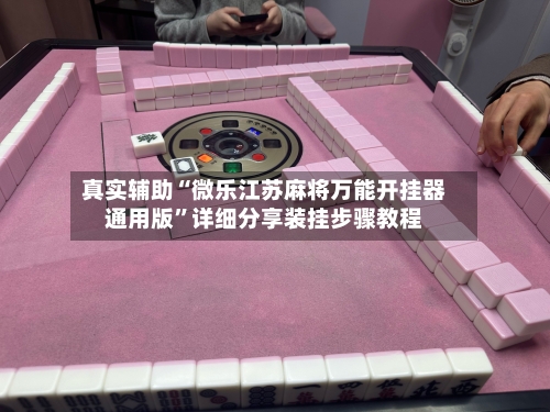 真实辅助“微乐江苏麻将万能开挂器通用版”详细分享装挂步骤教程-第3张图片