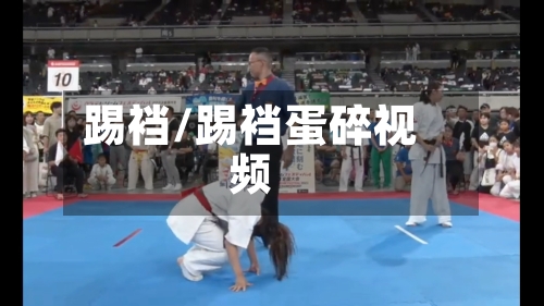 踢裆/踢裆蛋碎视频-第2张图片